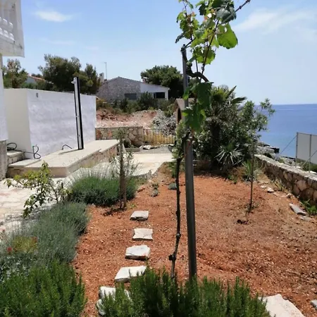 Feriehus House Dragi Žirje