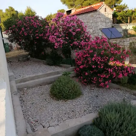 Casa vacanze House Dragi *